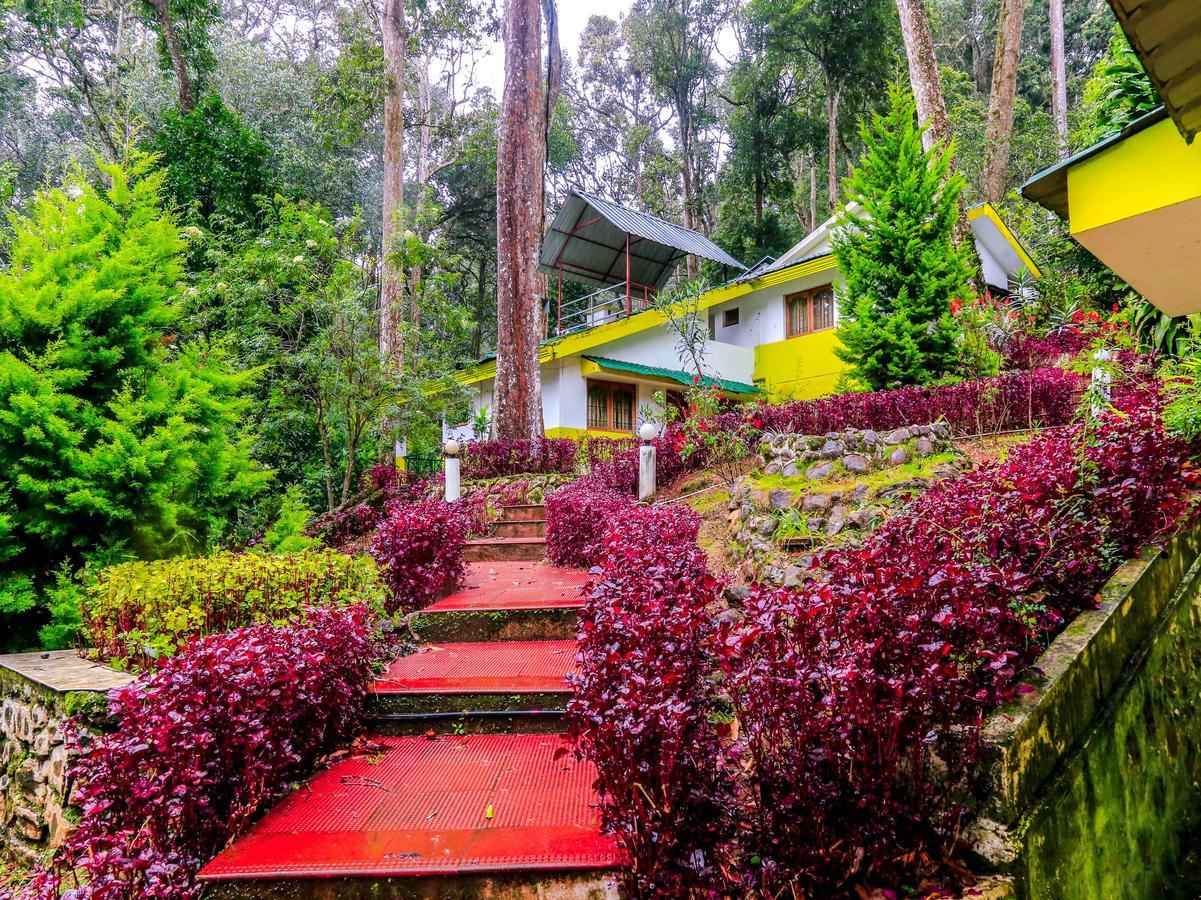 Oyo 4651 Woodpecker Resort Munnar Zewnętrze zdjęcie